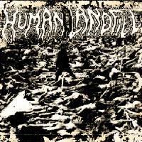 Abducted, Killed, Cooked